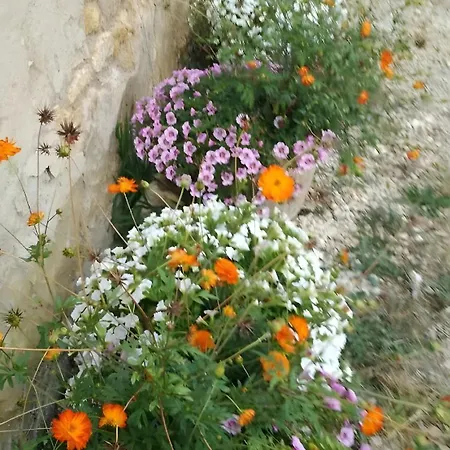 Belle Ferme Perigourdine Holiday home